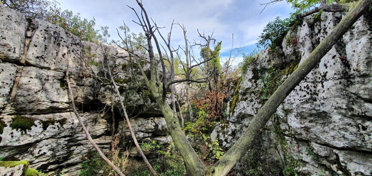 La Grange - Chez Gisi - Fuer Naturliebhaber, Abenteurer Und Geniesser Rocles  Ngoại thất bức ảnh