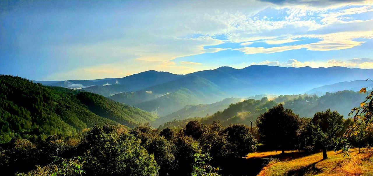La Grange - Chez Gisi - Fuer Naturliebhaber, Abenteurer Und Geniesser Rocles  Ngoại thất bức ảnh